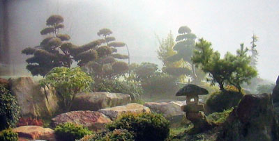 Beispielbild Bonsaimuseum