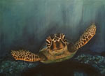 Schildkröte, 60 x 80 cm, Acryl auf Leinwand, Claudia Prüggler